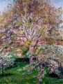 カミーユ・ピサロの時代の風景に咲くクルミとリンゴの木